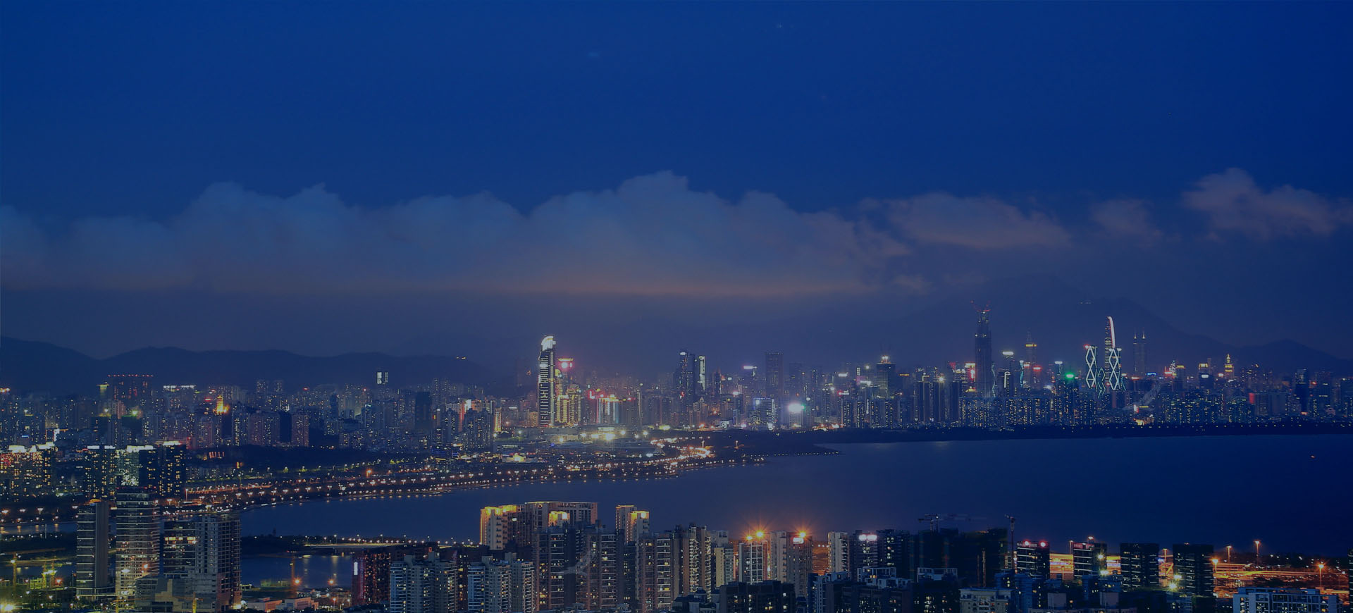 以专业驱动成长，努力务实